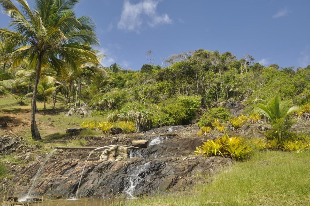 Recanto Dos Dendes Chales Serra Grande  Kültér fotó