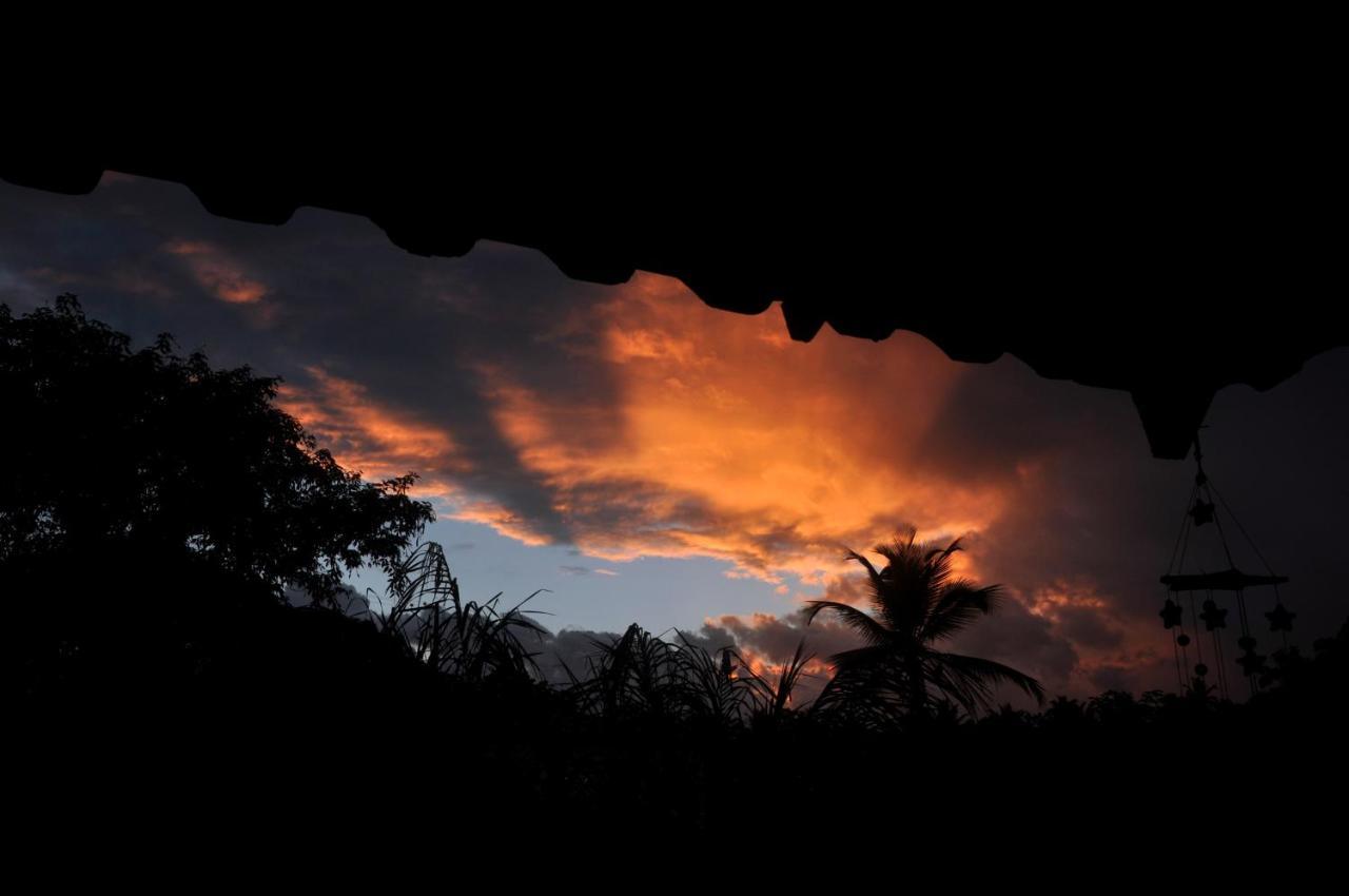 Recanto Dos Dendes Chales Serra Grande  Kültér fotó